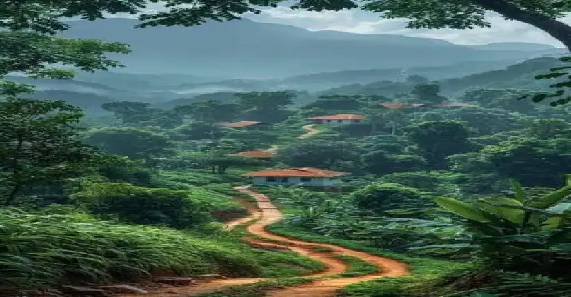 OOTY